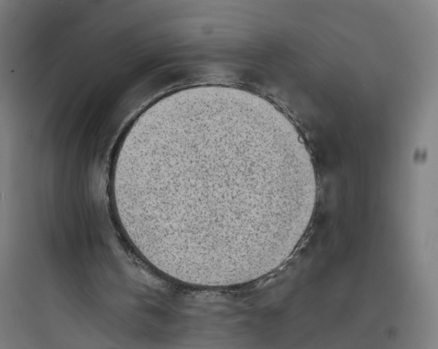 X0000093770146200711061142