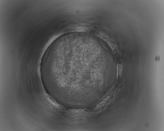 X0000093770147200711061142