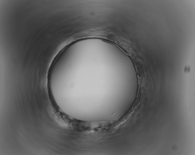 X0000093770148200711061142