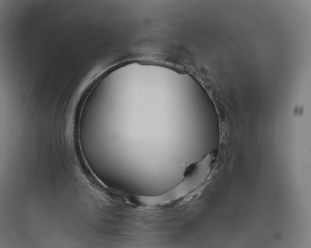 X0000093770150200711061142