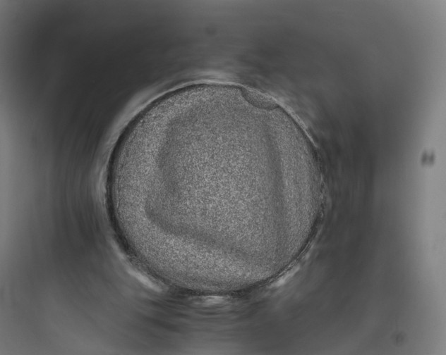 X0000093770151200711061142