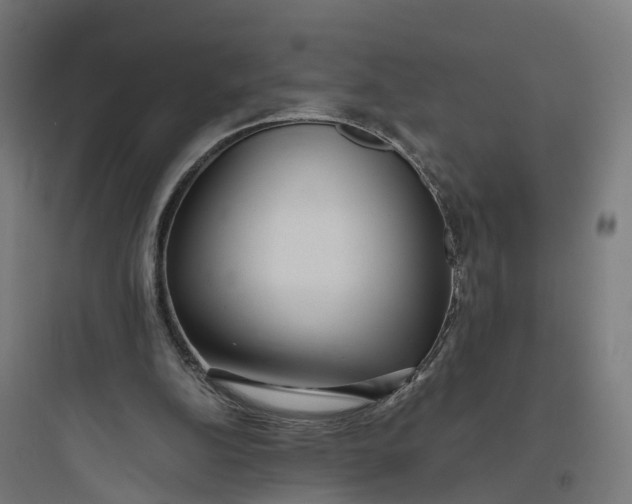 X0000093770152200711061142