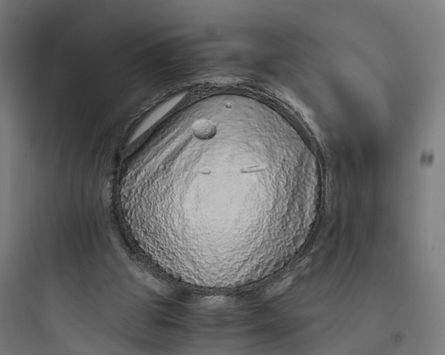 X0000093770153200711061142