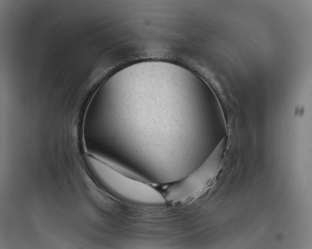 X0000093770154200711061142