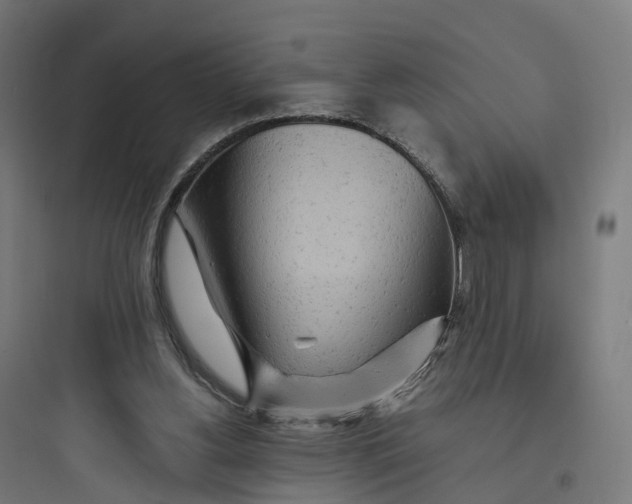 X0000093770156200711061142