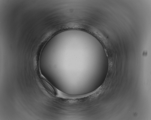 X0000093770158200711061142