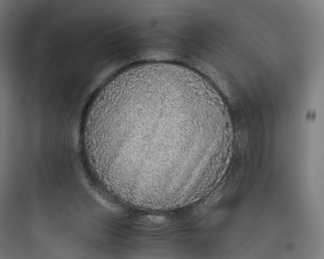 X0000093770159200711061143