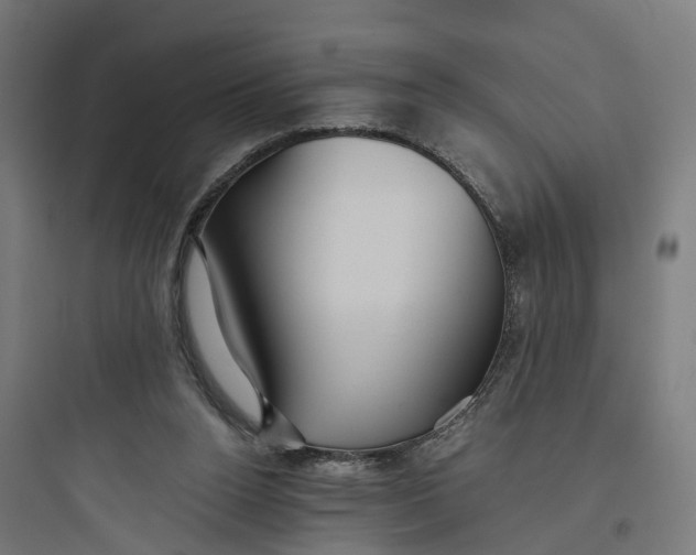 X0000093770160200711061143