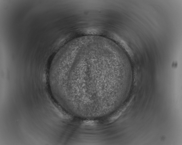 X0000093770161200711061143