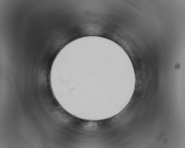 X0000093770162200711061143