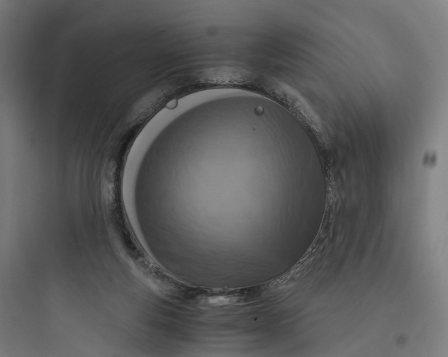 X0000093770163200711061143