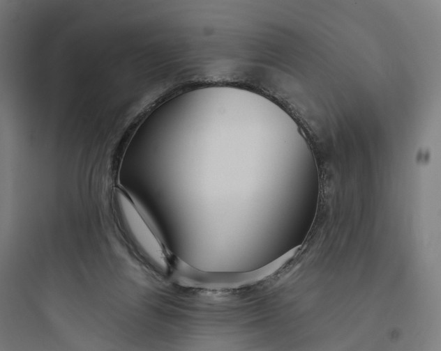 X0000093770164200711061143