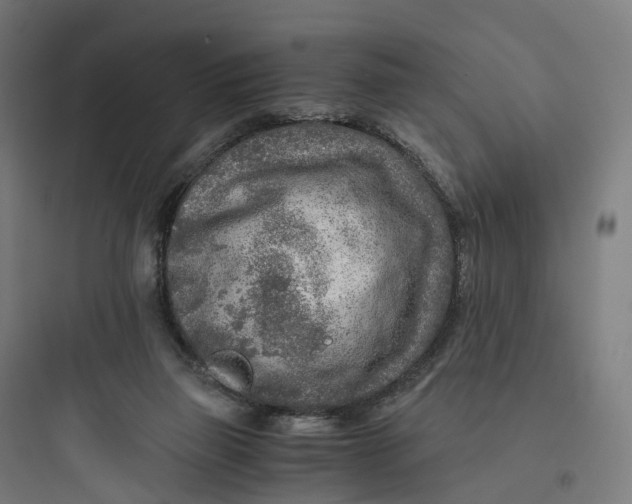 X0000093770165200711061143