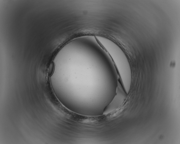 X0000093770168200711061143