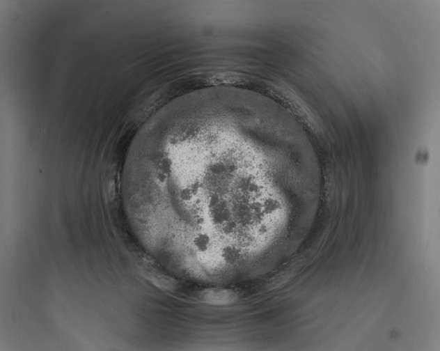 X0000093770169200711061143