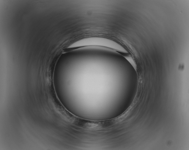 X0000093770170200711061143