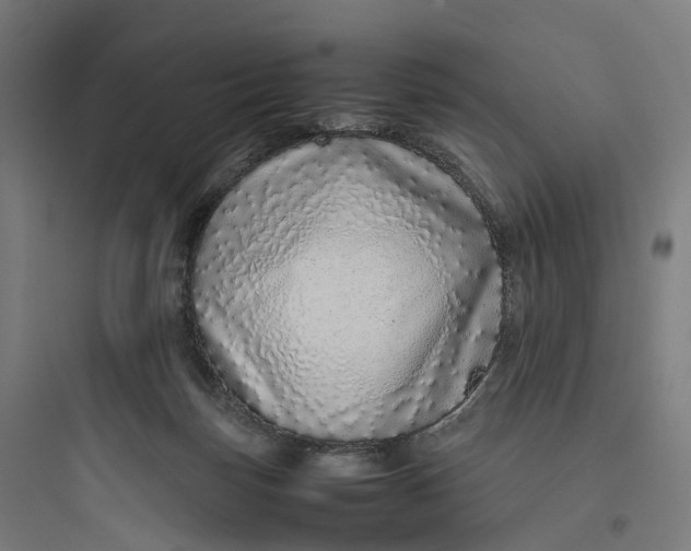 X0000093770171200711061143