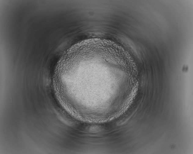 X0000093770173200711061143