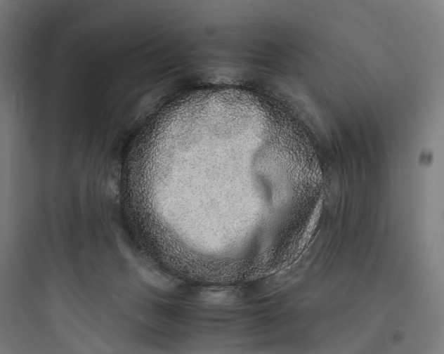 X0000093770175200711061143