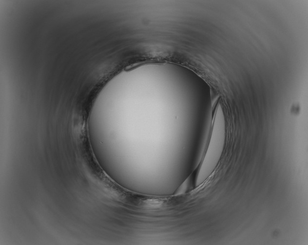 X0000093770176200711061143