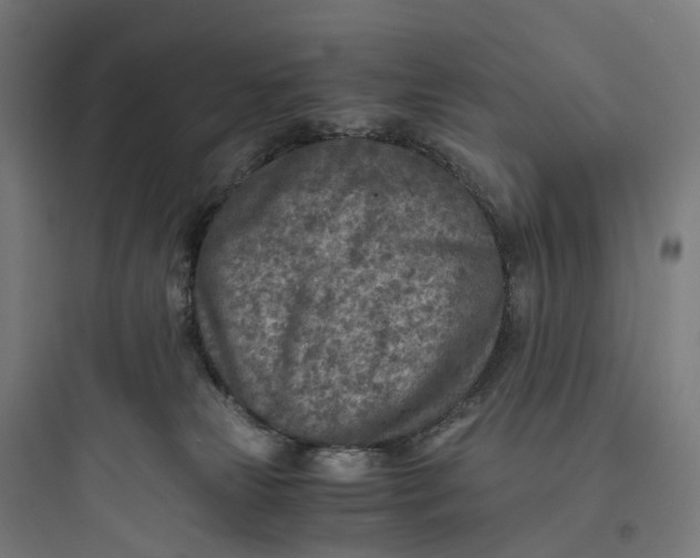 X0000093770181200711061143