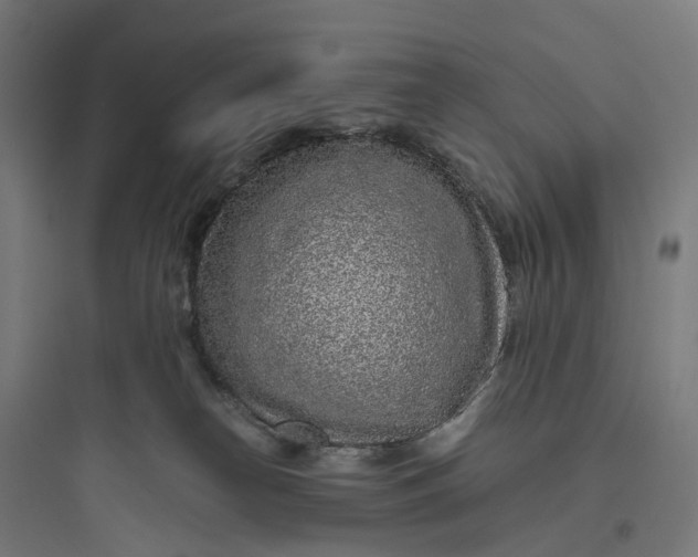 X0000093770182200711061143