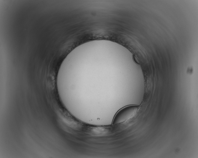 X0000093770183200711061143