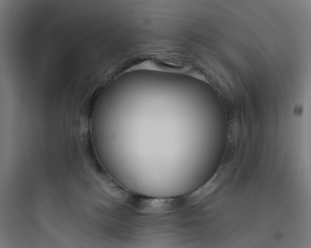 X0000093770184200711061143