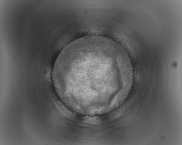 X0000093770185200711061143