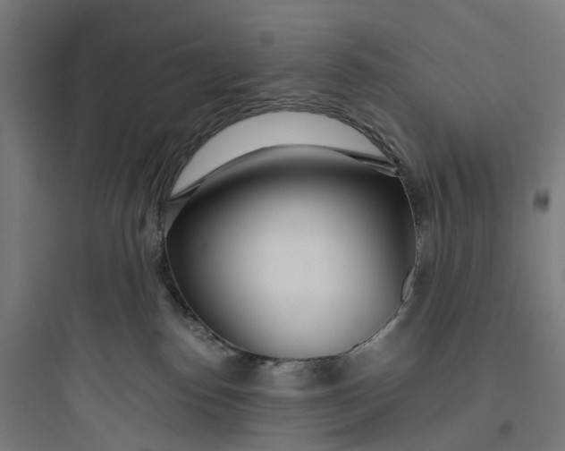 X0000093770186200711061143