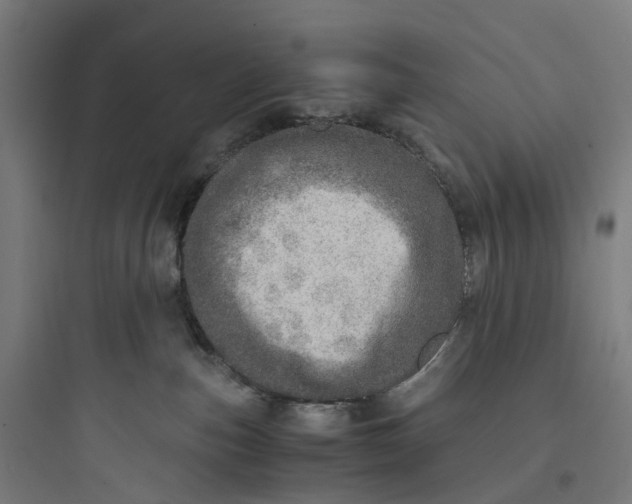 X0000093770187200711061143