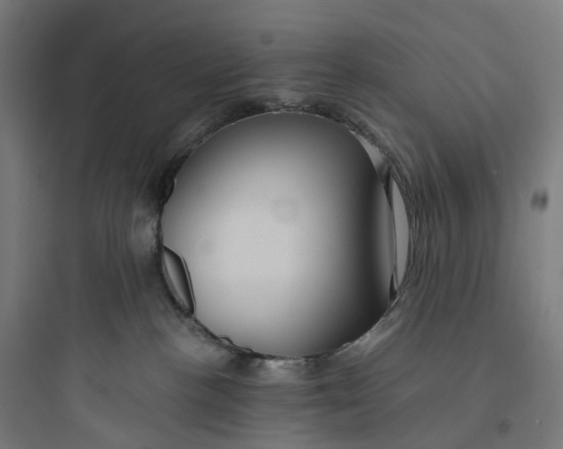 X0000093770188200711061143