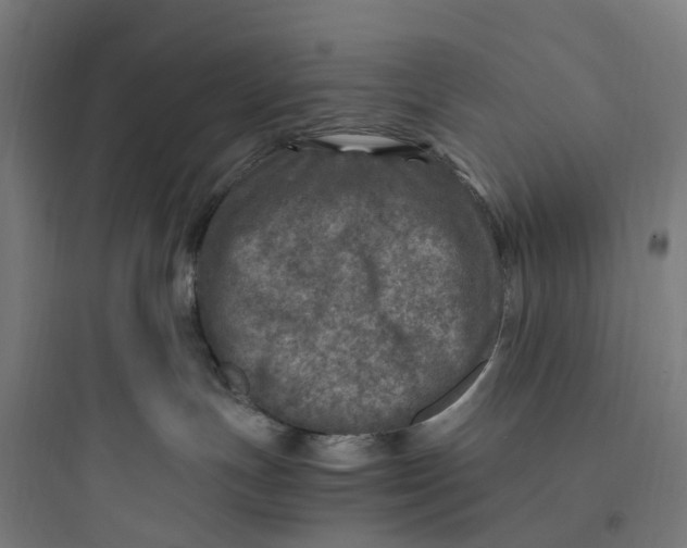 X0000093770191200711061143