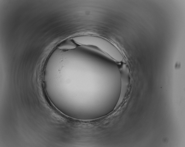 X0000093770193200711061142