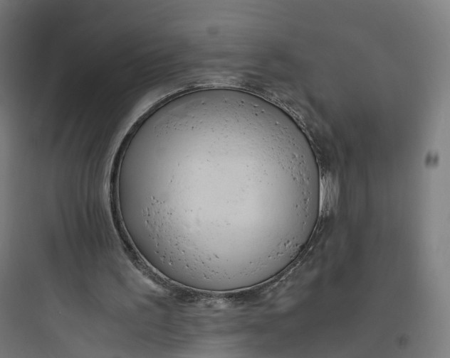 X0000093770195200711061142