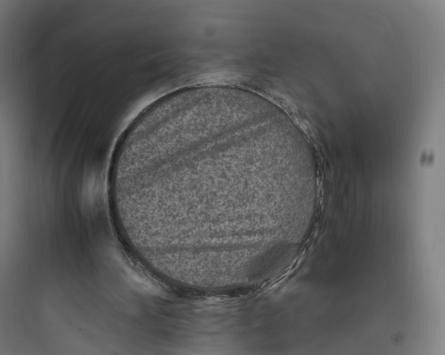 X0000093770196200711061142