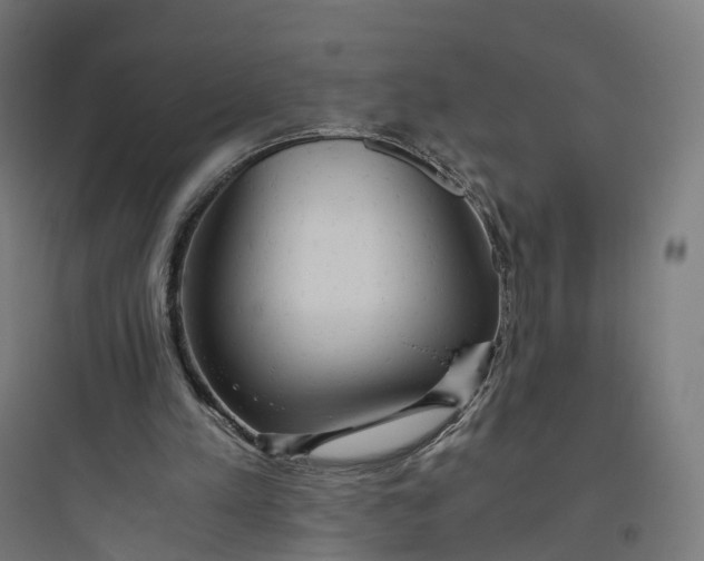 X0000093770197200711061142