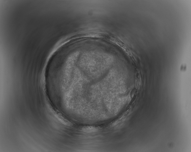 X0000093770198200711061142