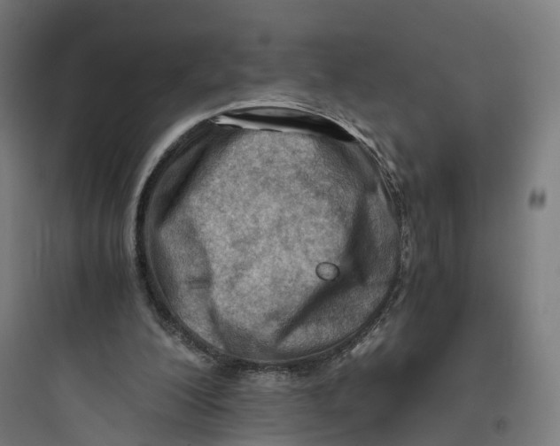 X0000093770200200711061142