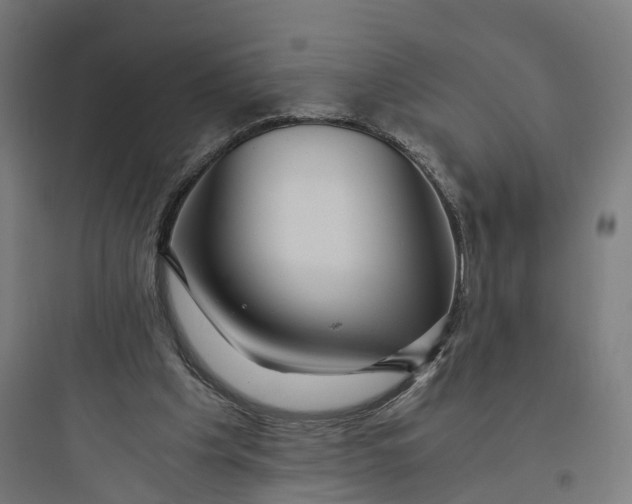 X0000093770201200711061142