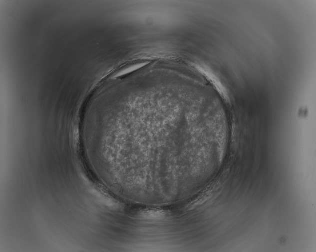 X0000093770202200711061142