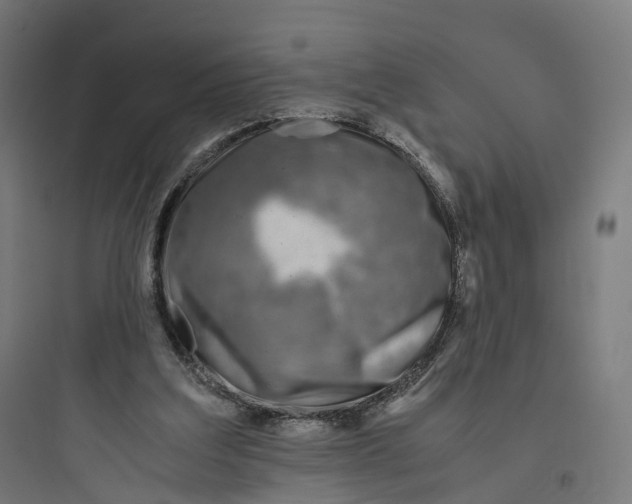 X0000093770203200711061142