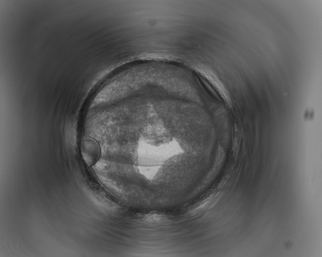 X0000093770204200711061142