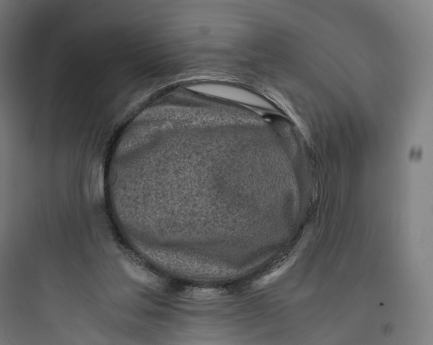 X0000093770205200711061142