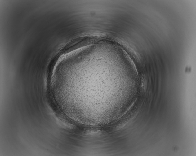 X0000093770206200711061142