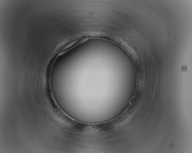 X0000093770207200711061142