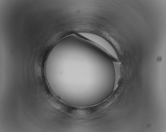 X0000093770209200711061142