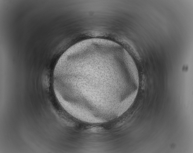 X0000093770210200711061142