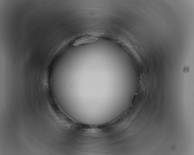 X0000093770212200711061142