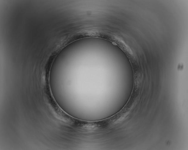 X0000093770213200711061142